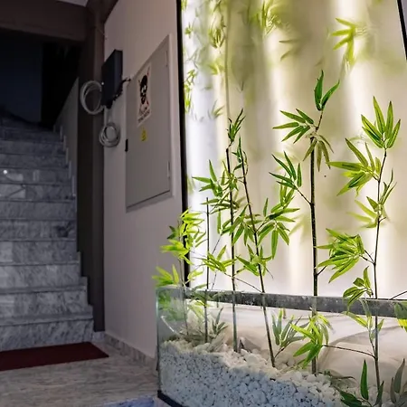 Designed 2br Rooftop Duplex With Private Terrace *